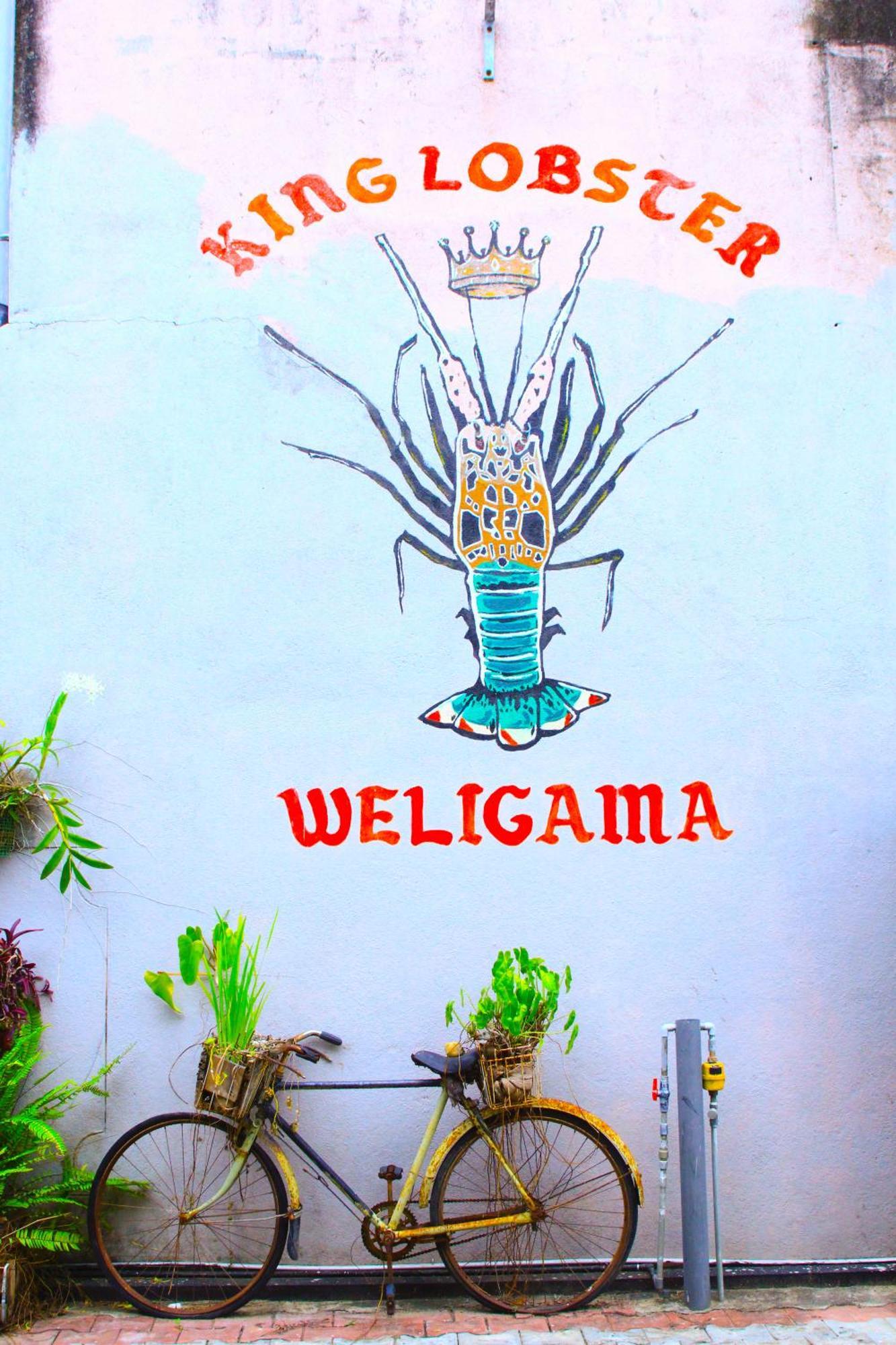 7Elements - Boutique Hotel & Restaurant Weligama Bagian luar foto